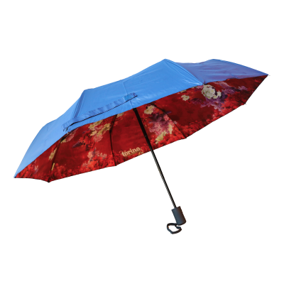 Regenschirm Torino