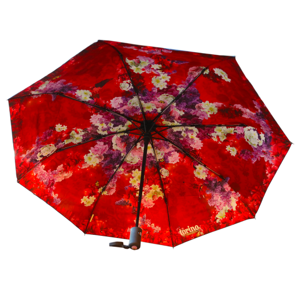 Umbrella Torino
