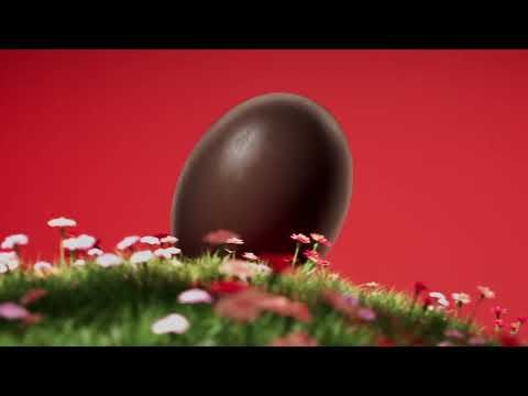 Œufs de Pâques Découverte